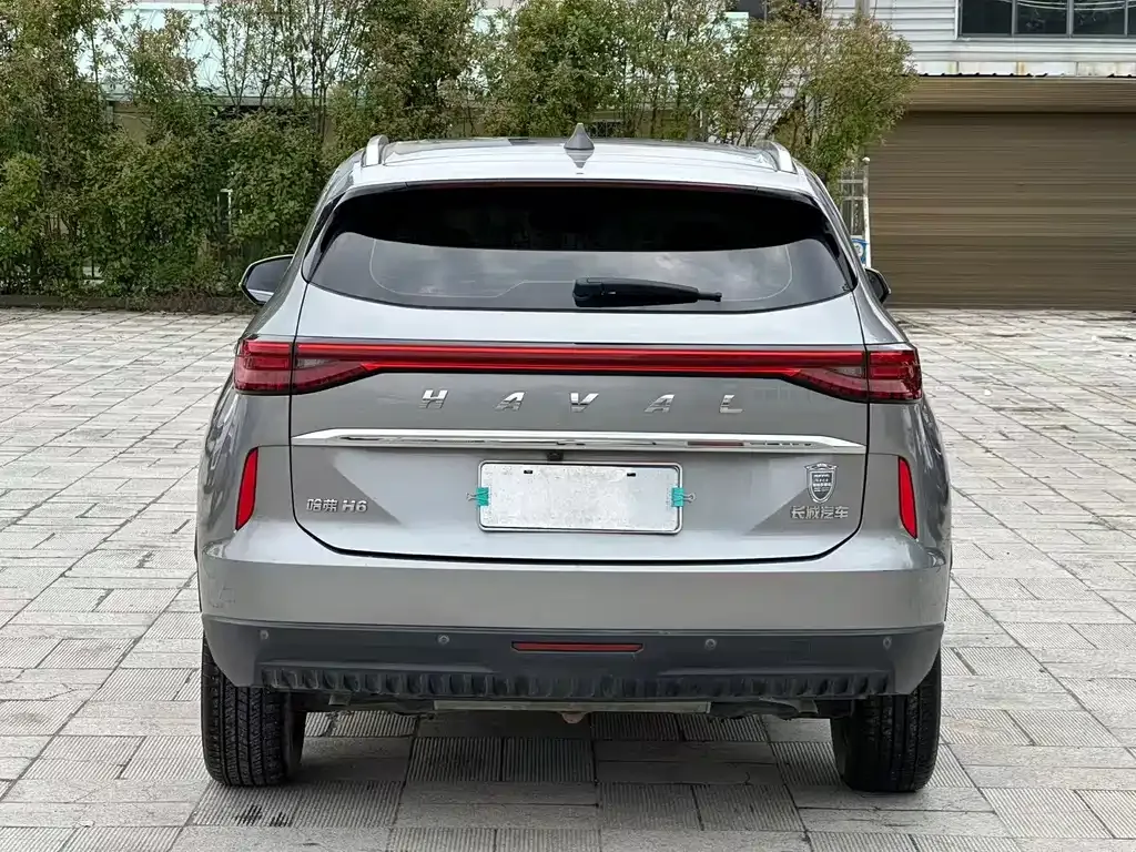 Haval H6 2023 из CN, фото 8