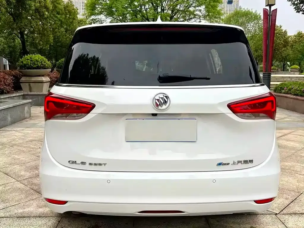 Buick GL6 2023 из CN, фото 6