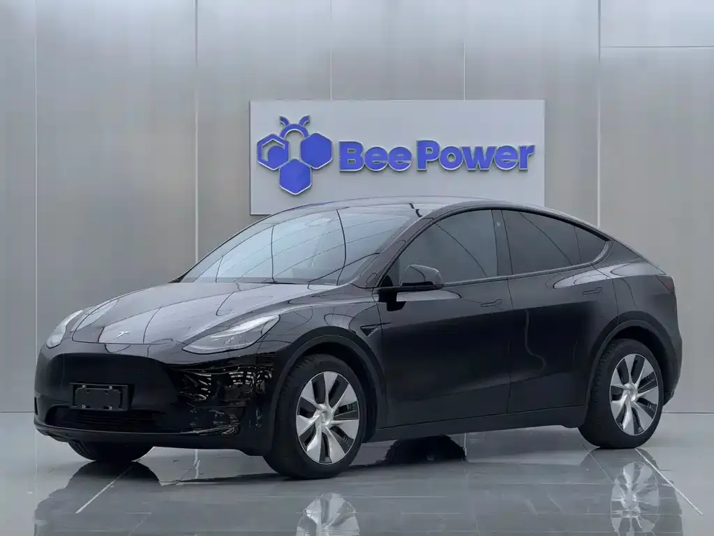 Tesla Model Y 2021 из CN, фото 1