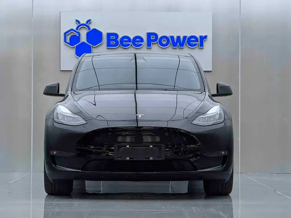 Tesla Model Y 2021 из CN, фото 9