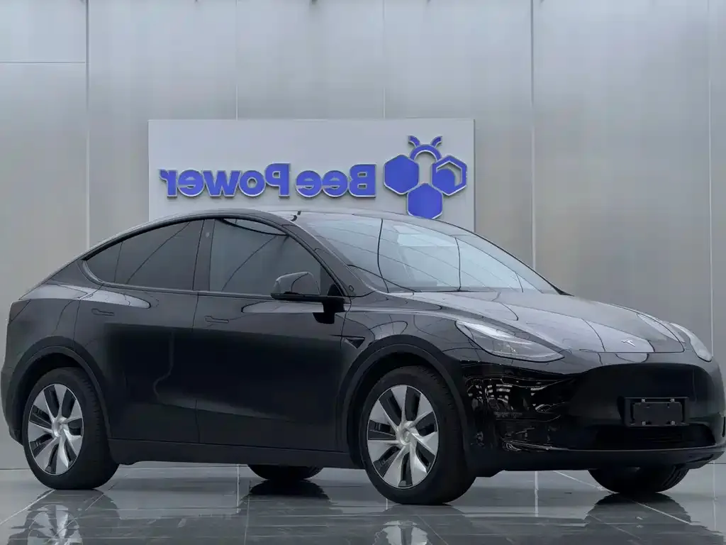 Tesla Model Y 2021 из CN, фото 6