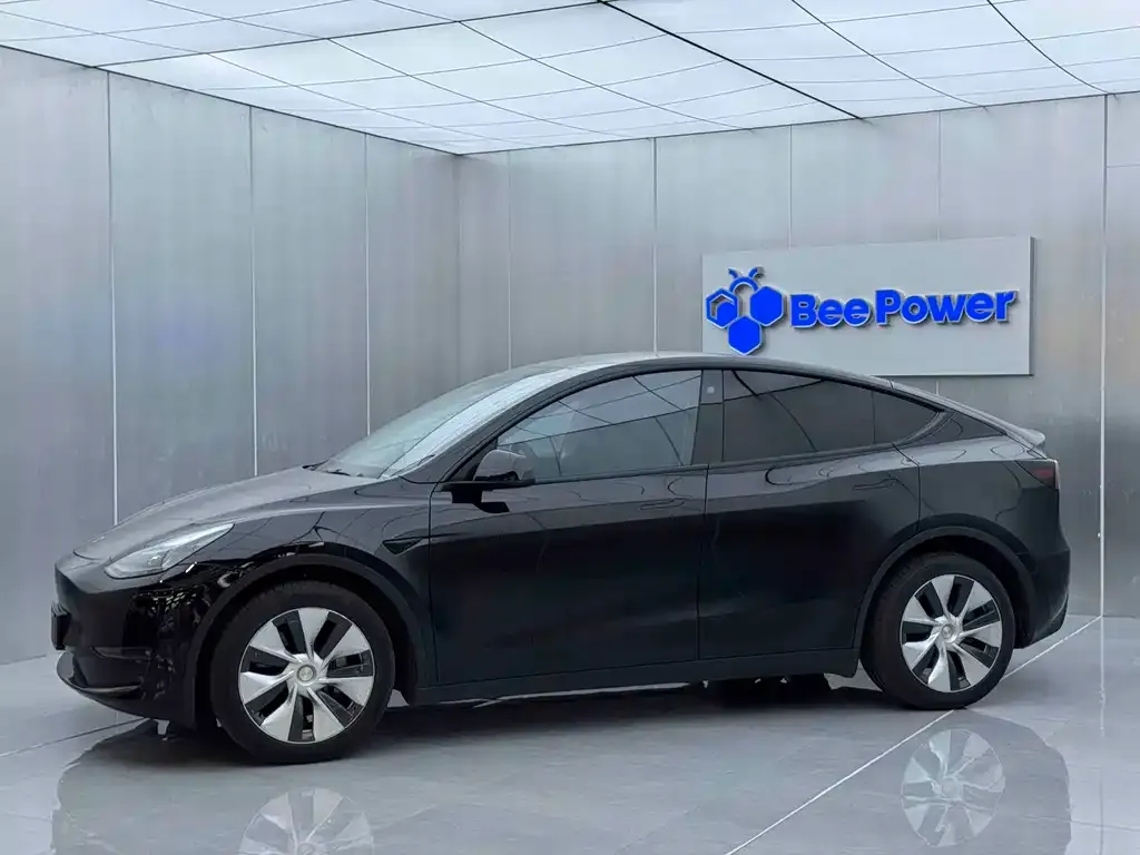 Tesla Model Y 2021 из CN, фото 8
