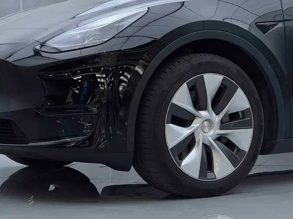 Tesla Model Y 2021 из CN, фото 10