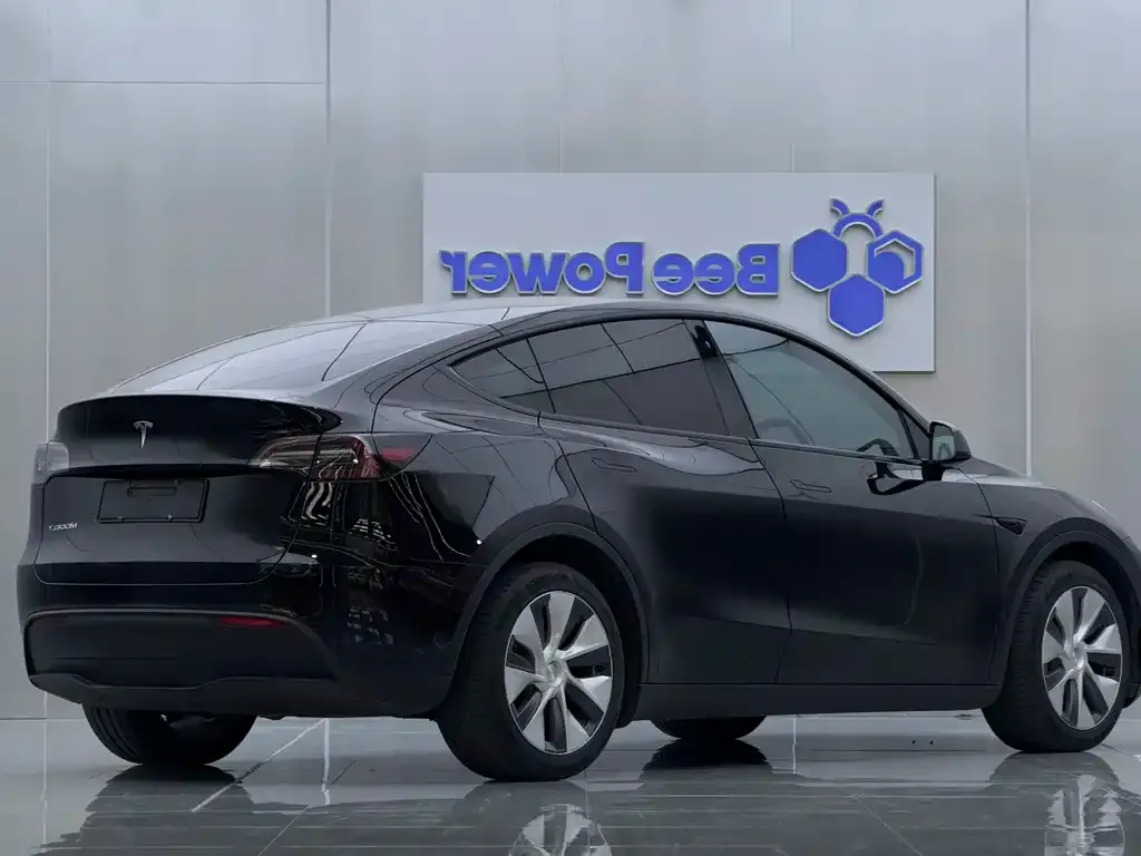 Tesla Model Y 2021 из CN, фото 7