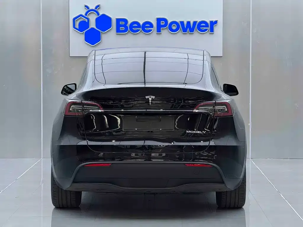 Tesla Model Y 2021 из CN, фото 3