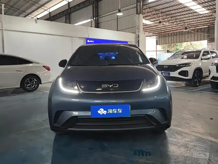 BYD Dolphin 2024 из CN, фото 8