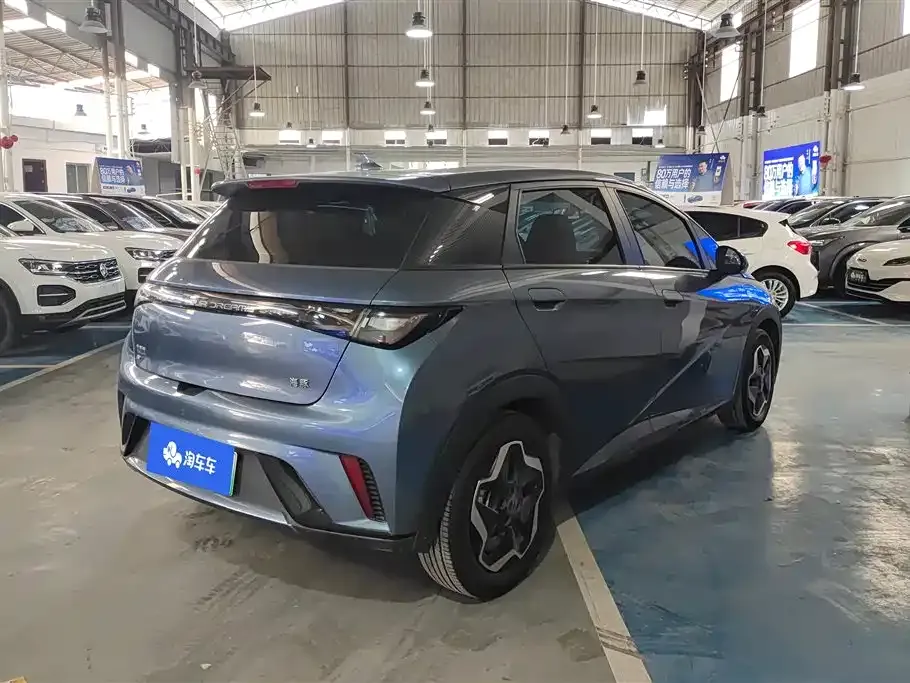 BYD Dolphin 2024 из CN, фото 4