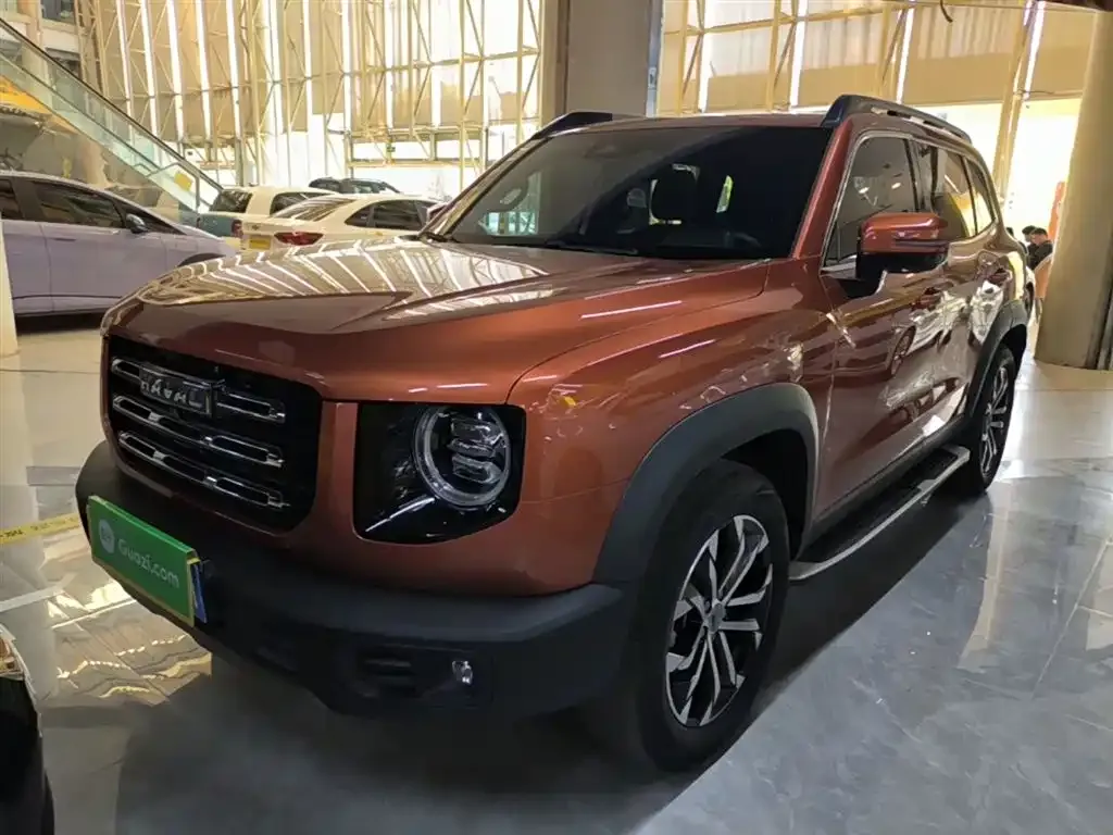 Haval Big Dog 2021 из CN, фото 6