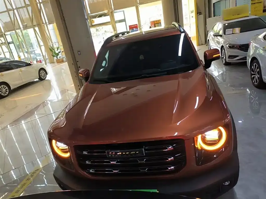 Haval Big Dog 2021 из CN, фото 7