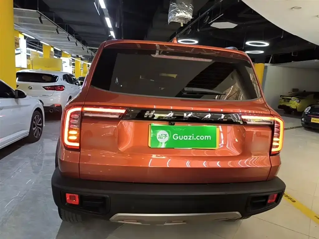 Haval Big Dog 2021 из CN, фото 5
