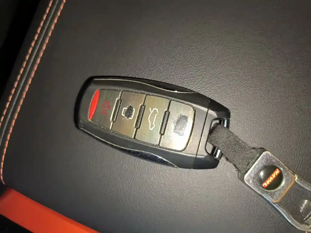 Haval Big Dog 2021 из CN, фото 8