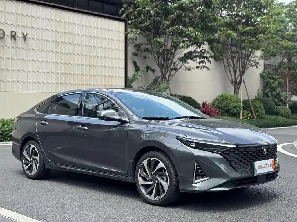 Changan Ruicheng PLUS 2025 из CN, фото 5