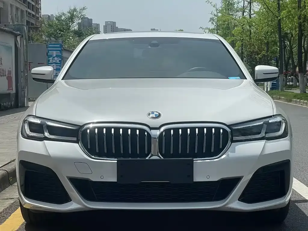 BMW 5 Series 2023 из CN, фото 5