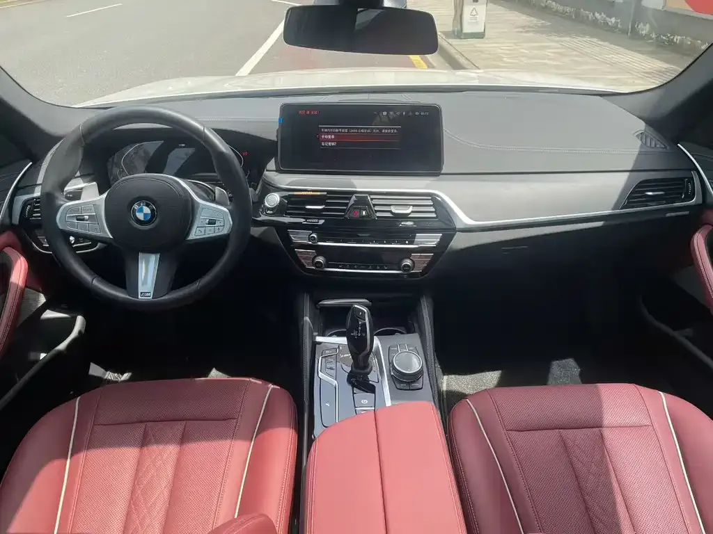 BMW 5 Series 2023 из CN, фото 7