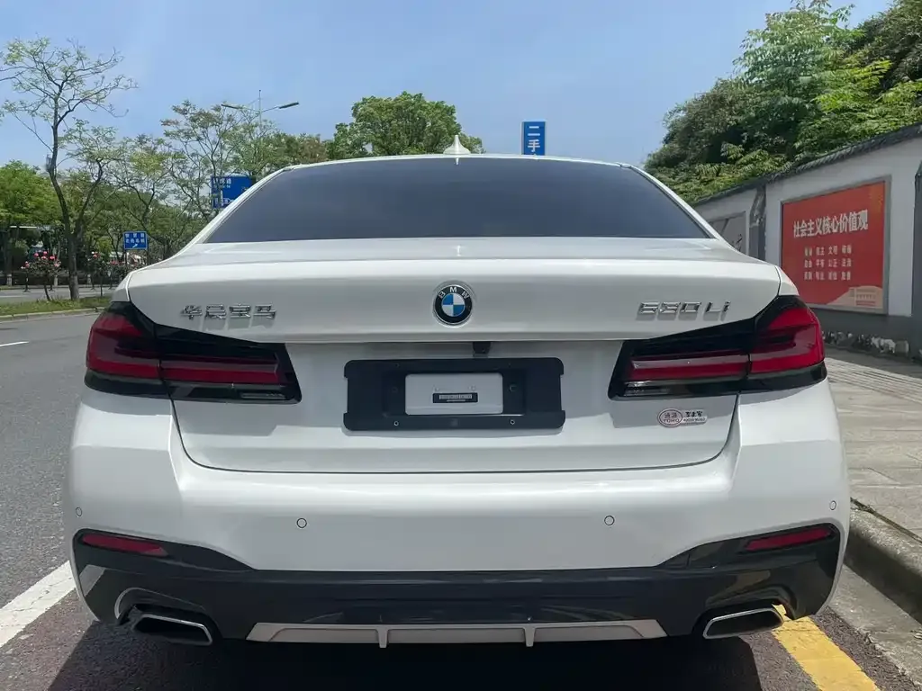 BMW 5 Series 2023 из CN, фото 3