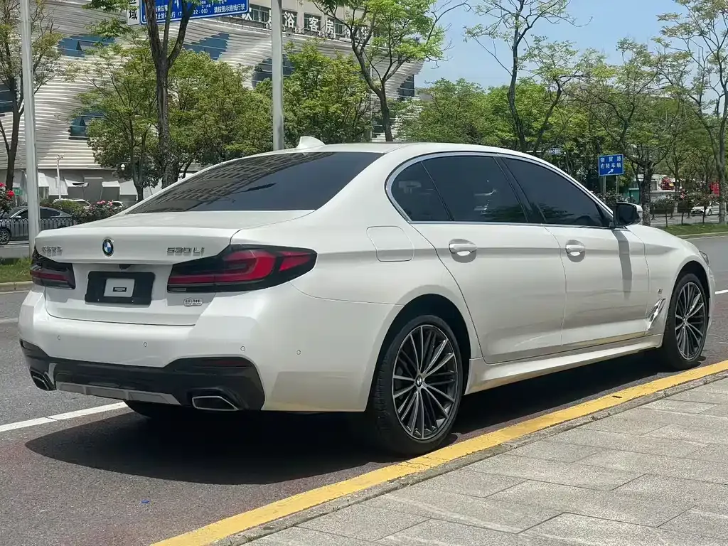BMW 5 Series 2023 из CN, фото 6