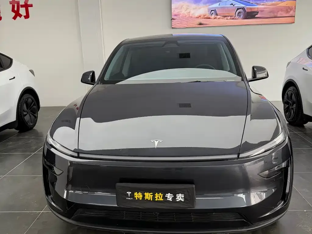 Tesla Model Y — фото 5