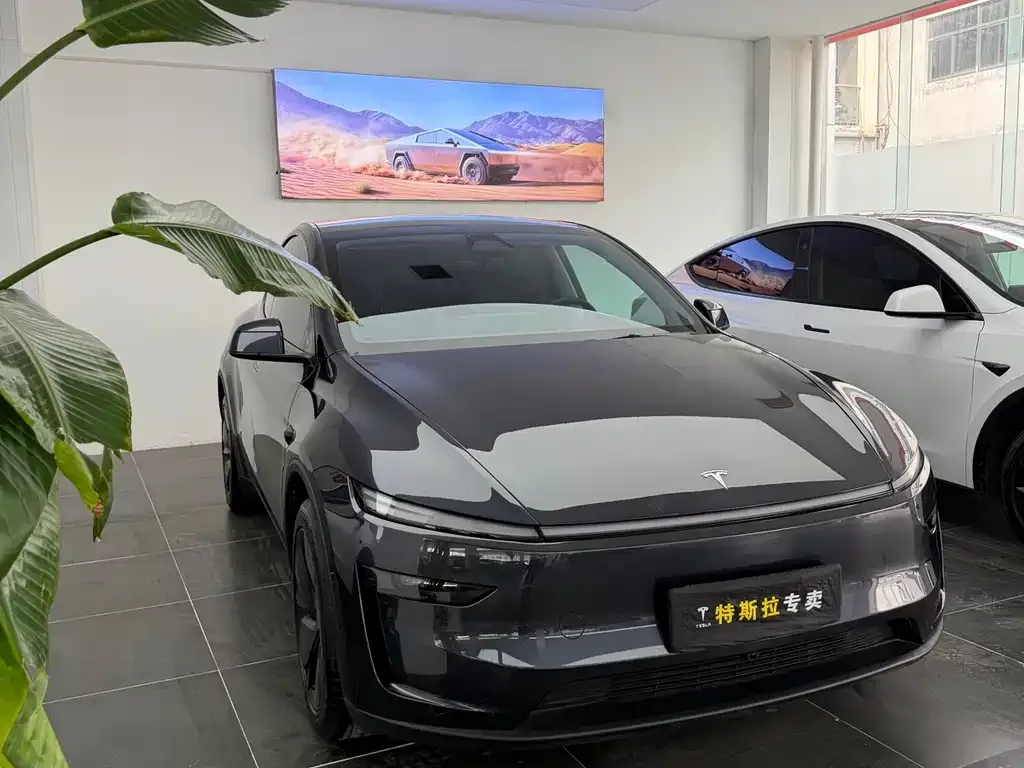 Tesla Model Y — фото 4