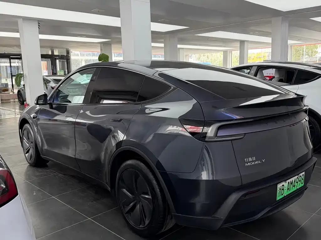 Tesla Model Y — фото 9