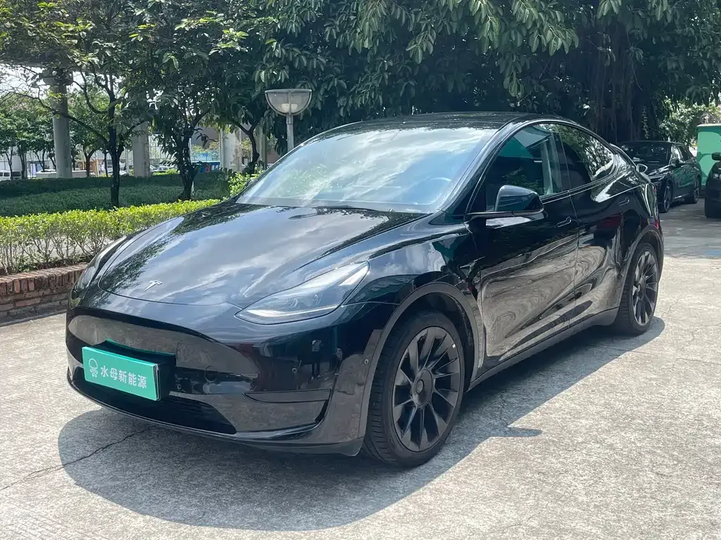 Tesla Model Y — фото 1