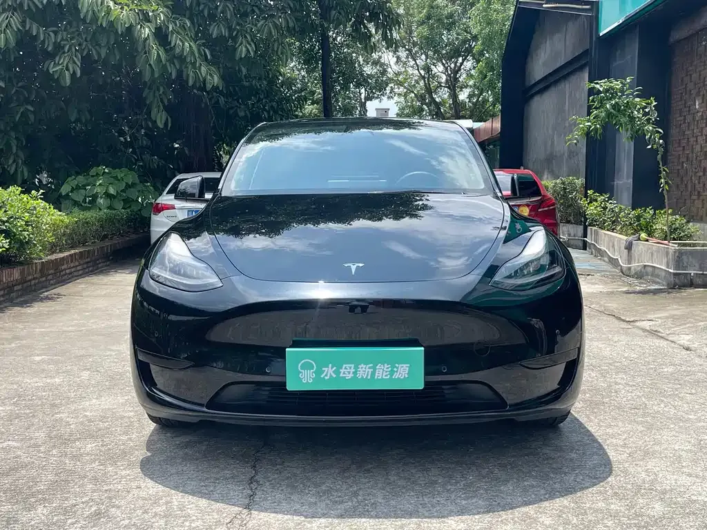 Tesla Model Y — фото 3