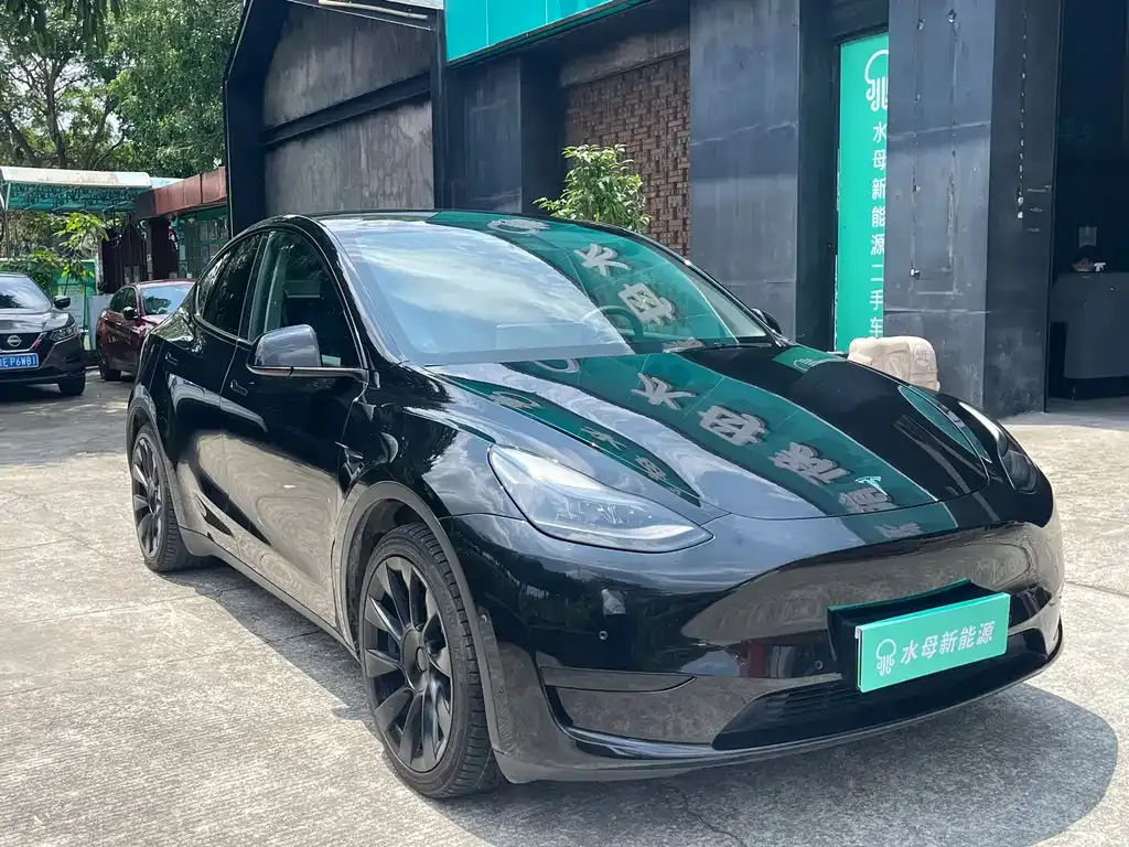 Tesla Model Y — фото 8