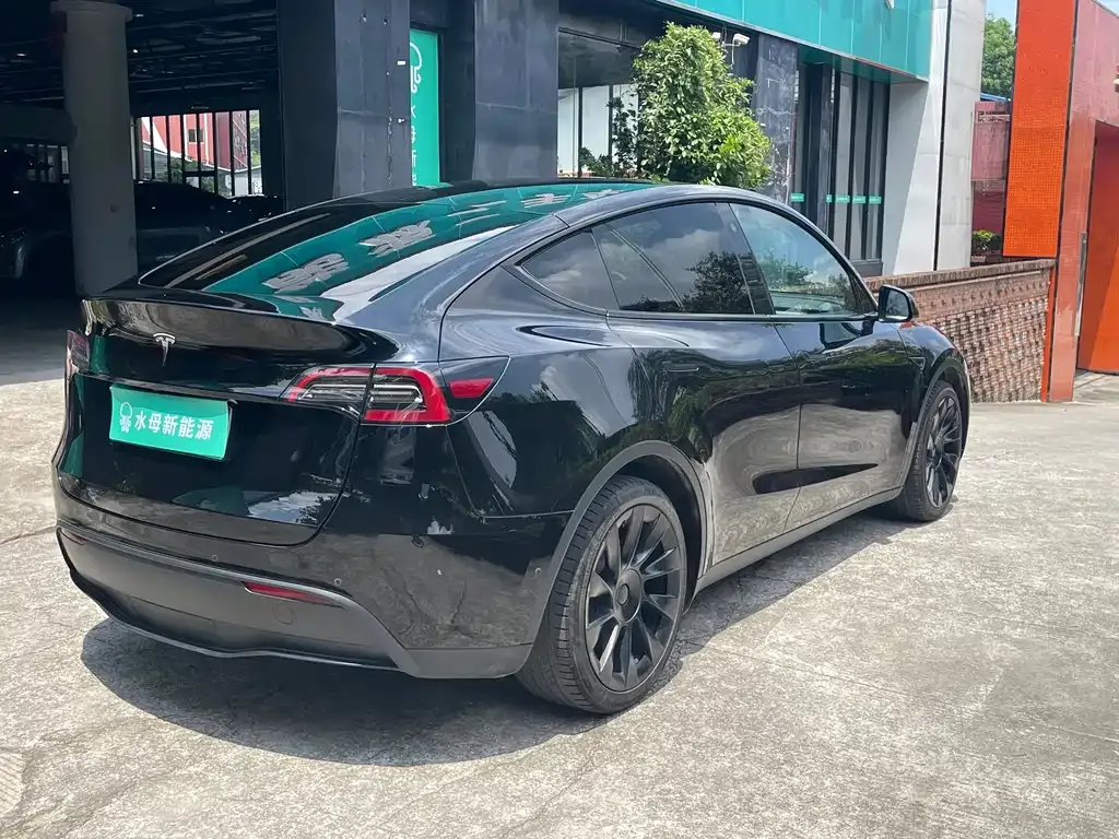 Tesla Model Y — фото 9
