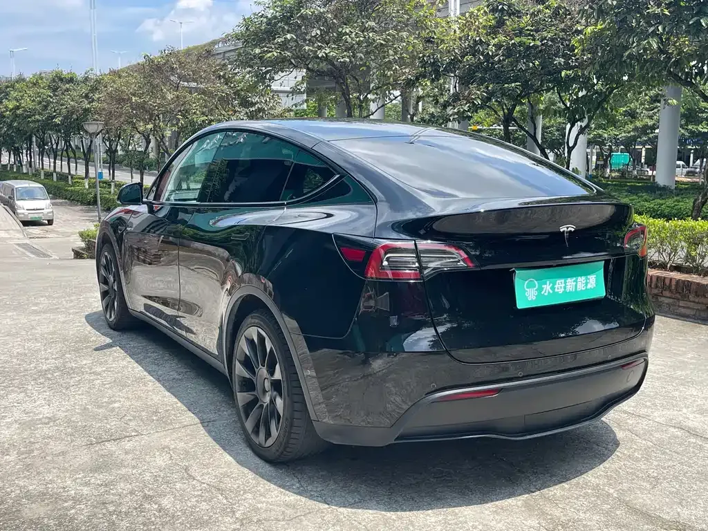 Tesla Model Y — фото 10