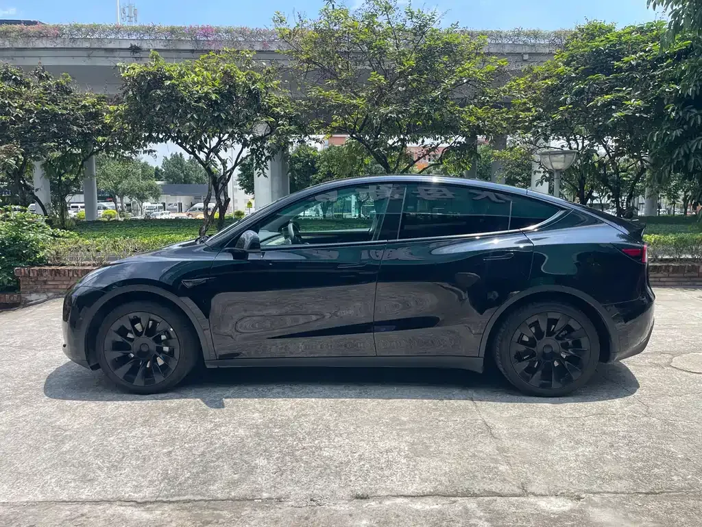 Tesla Model Y — фото 2