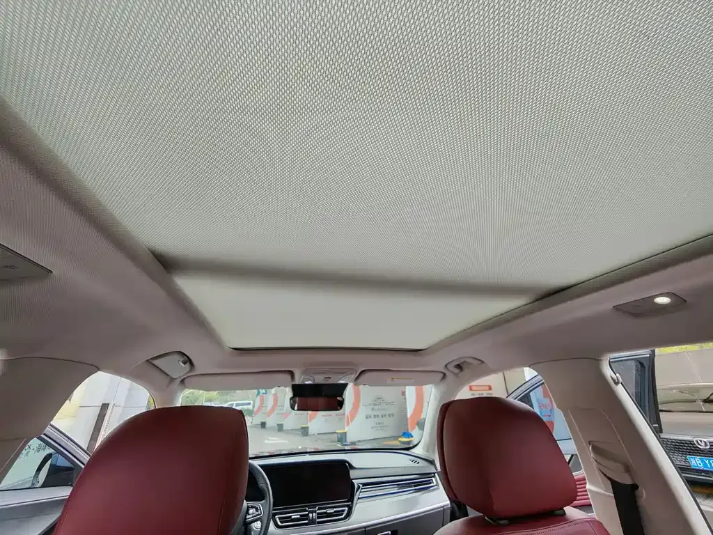 Hongqi HS5 2024 из CN, фото 9