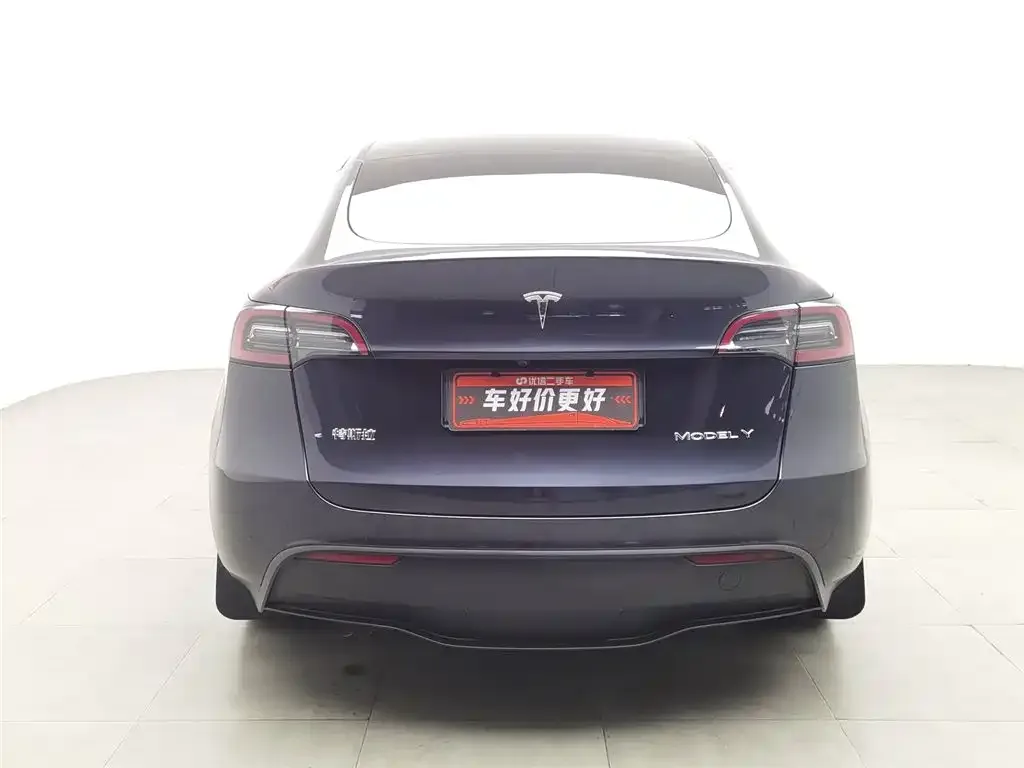 Tesla Model Y — фото 2
