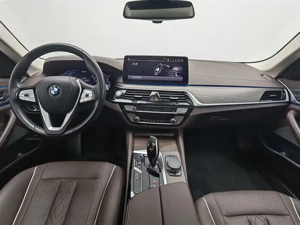 BMW 5 Series New Energy 2023 из CN, фото 10