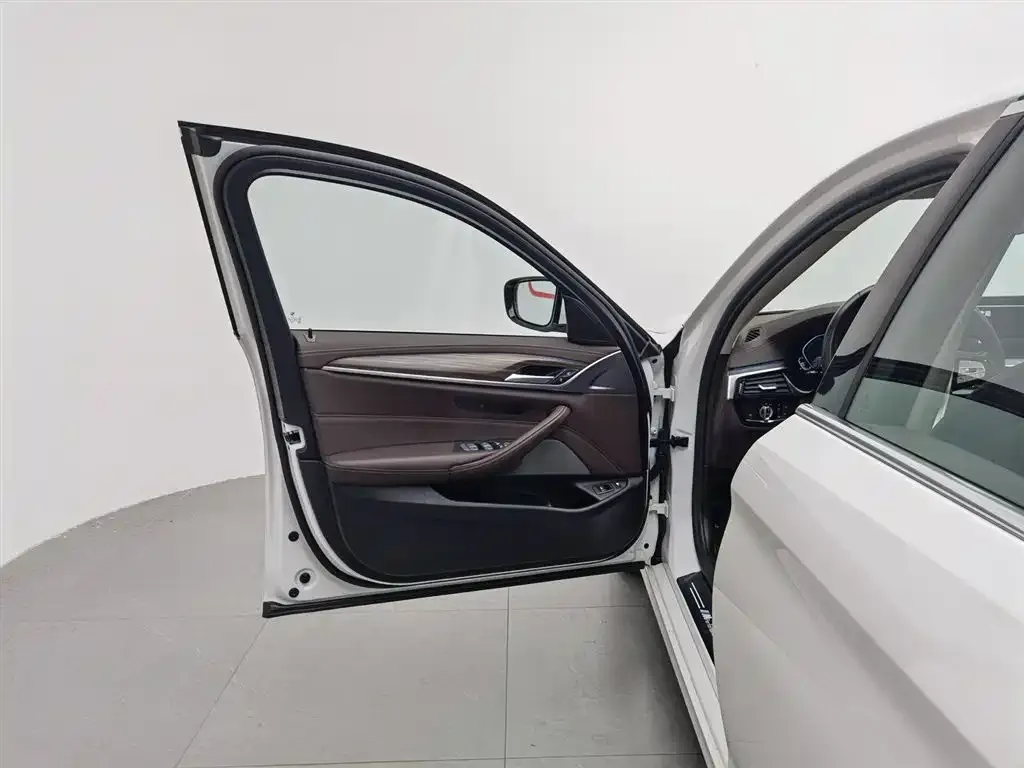 BMW 5 Series New Energy 2023 из CN, фото 5