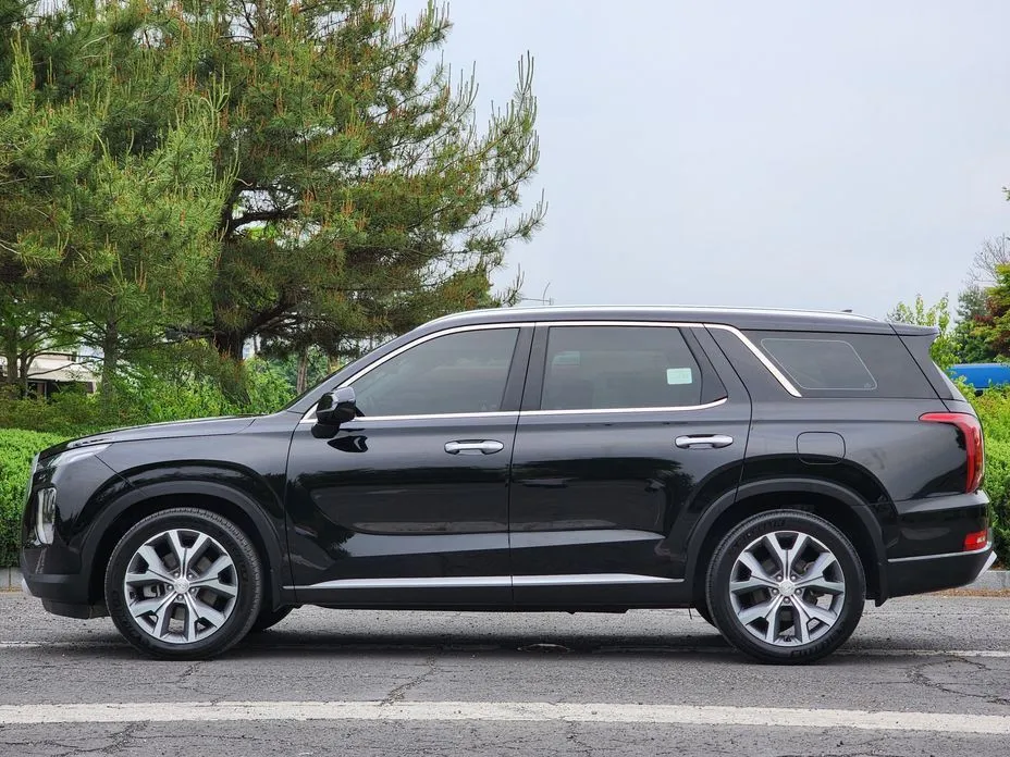 Hyundai Palisade — фото 2