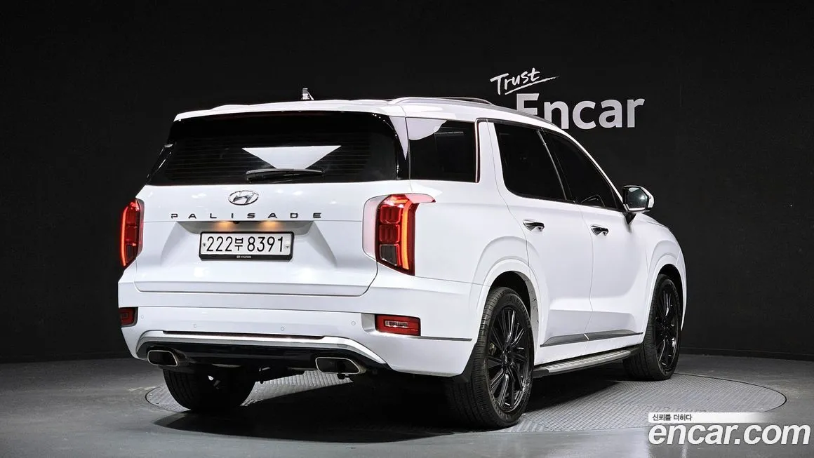 Hyundai Palisade — фото 6