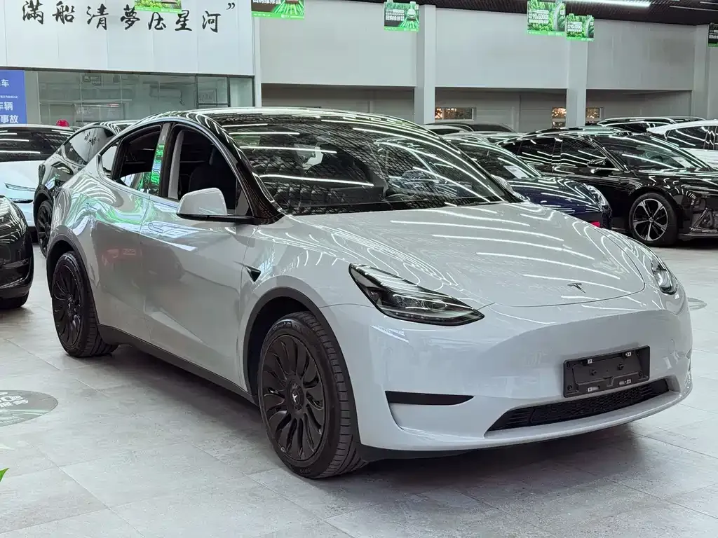 Tesla Model Y — фото 5