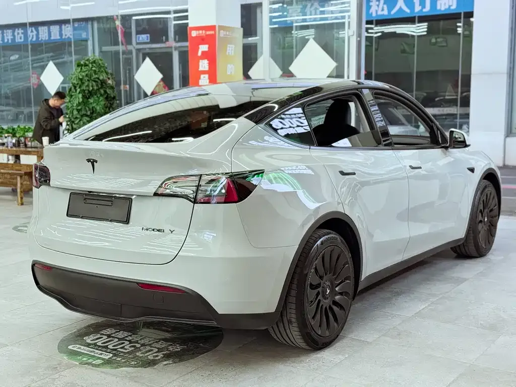 Tesla Model Y — фото 10
