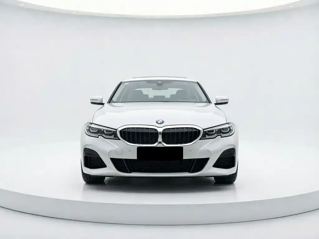BMW 3 Series 2021 из CN, фото 7