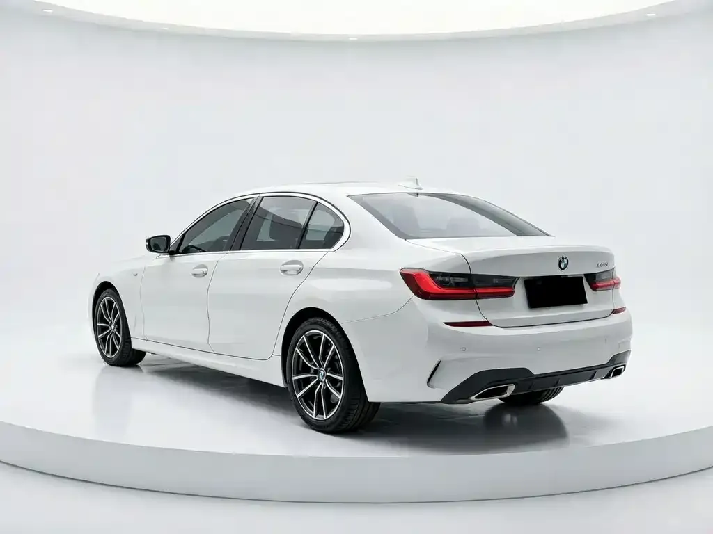BMW 3 Series 2021 из CN, фото 5