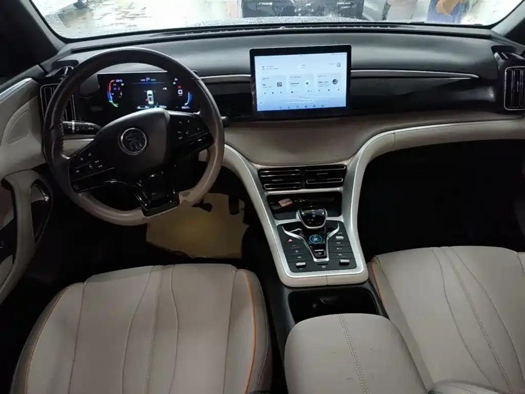 BYD Pro New Energy — фото 10