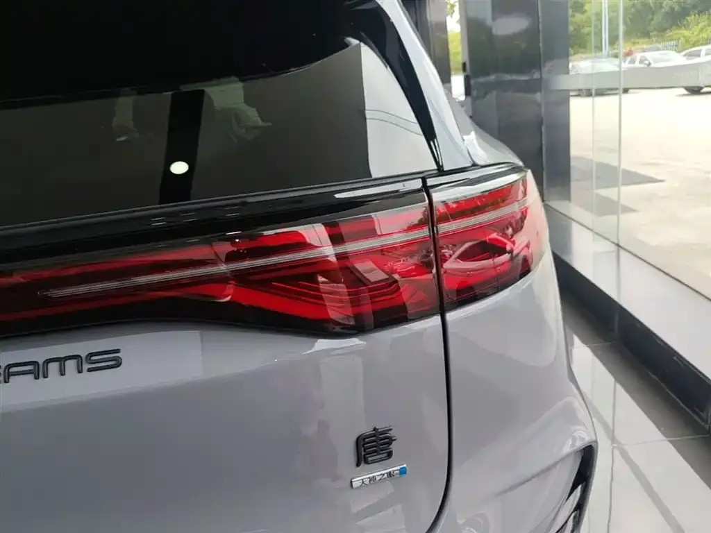 BYD Tang New Energy 2025 из CN, фото 3