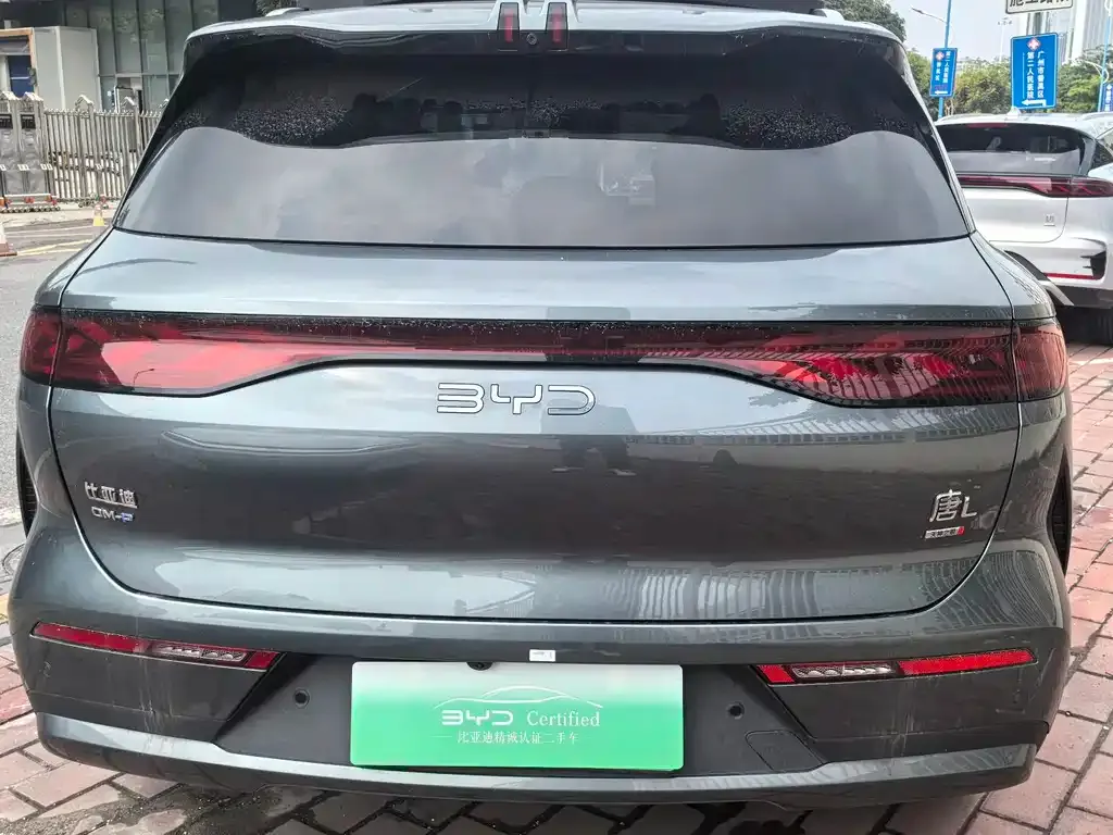 BYD Tang L 2025 из CN, фото 8