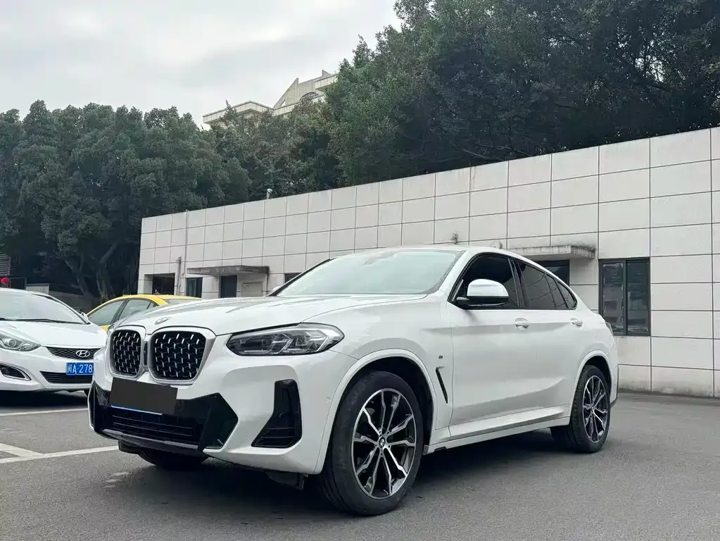BMW X4 2023 из CN, фото 1