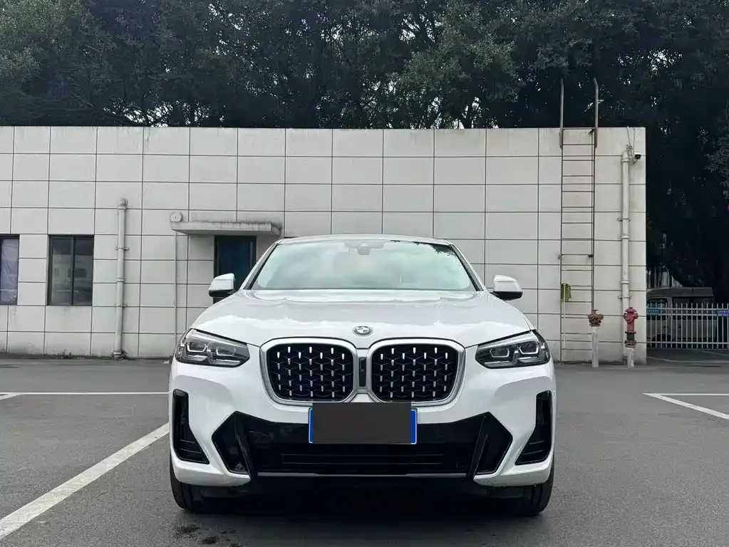 BMW X4 2023 из CN, фото 5