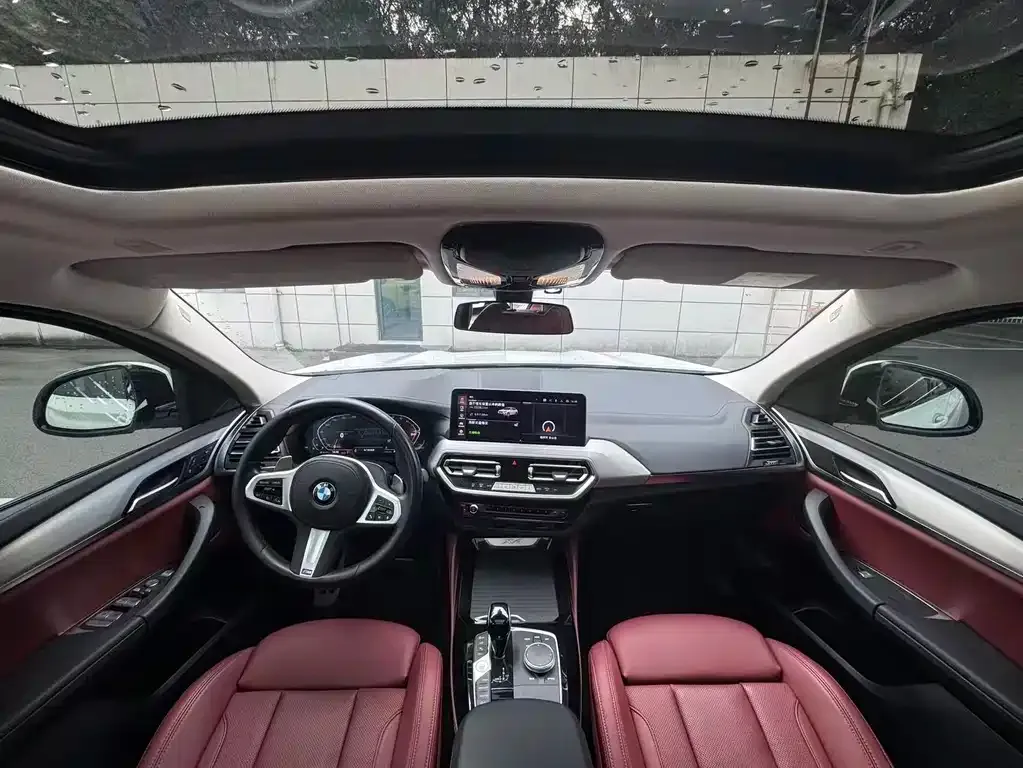 BMW X4 2023 из CN, фото 9