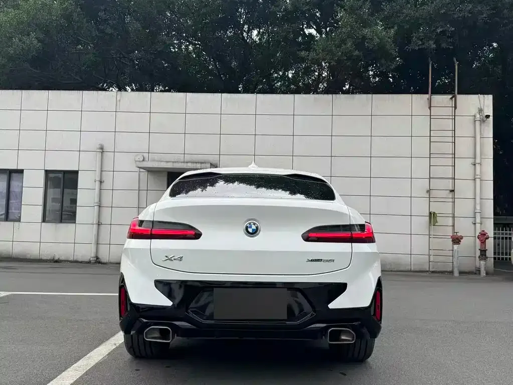 BMW X4 2023 из CN, фото 8