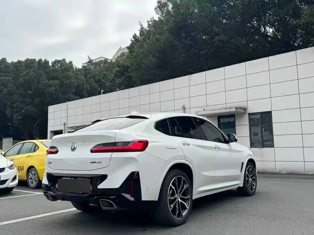 BMW X4 2023 из CN, фото 6