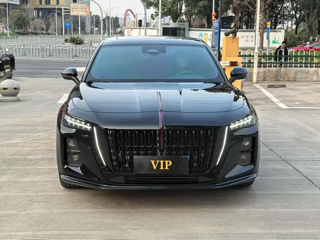 Hongqi H5 2024 из CN, фото 1