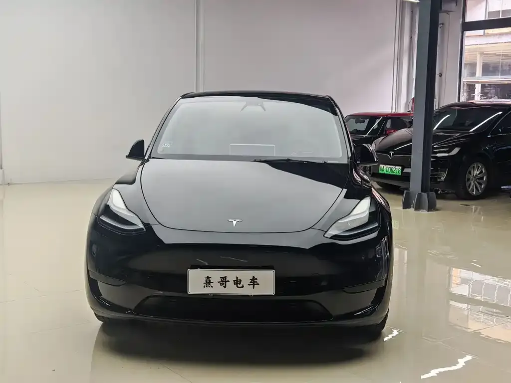 Tesla Model Y — фото 2