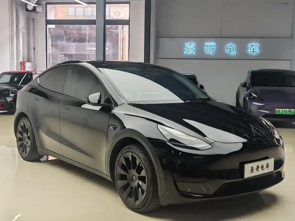 Tesla Model Y — фото 9
